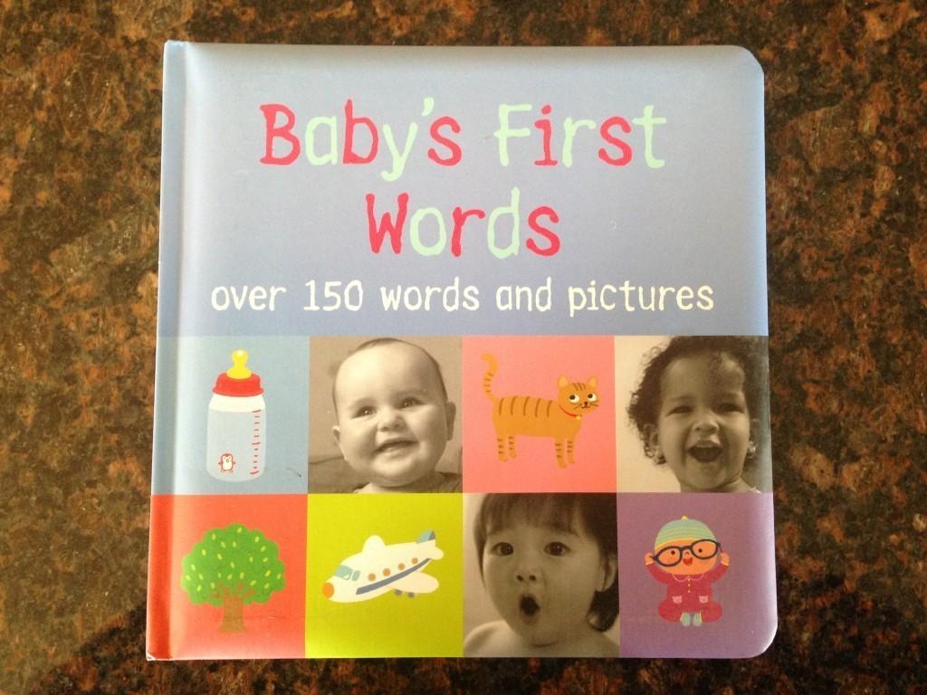 Baby's First Words (over 150 words and pictures) book