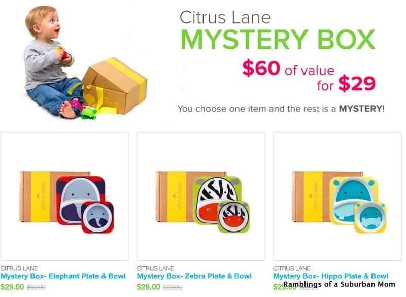 Citrus Lane Mystery Boxes
