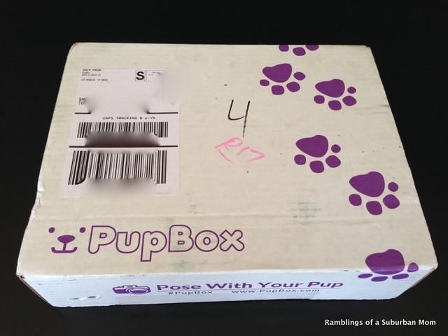 June 2014 PupBox (4 Month-Old Puppy)