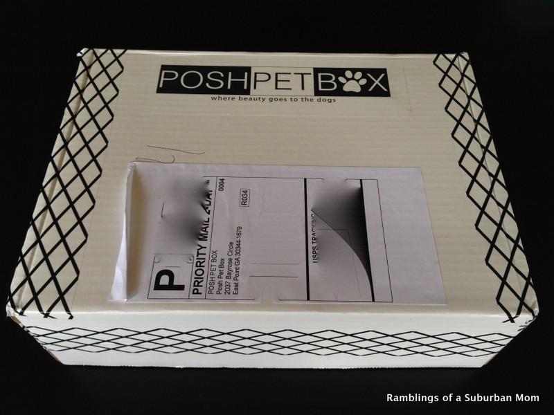 Posh Pet Box