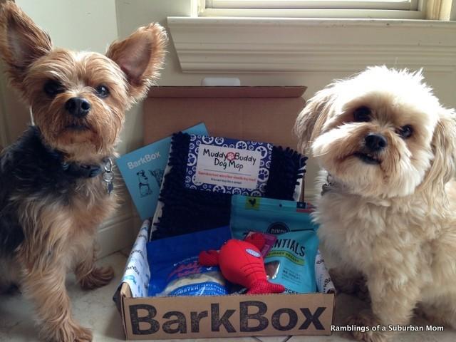 The Furries & Their Barkbox